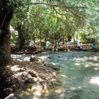Banias